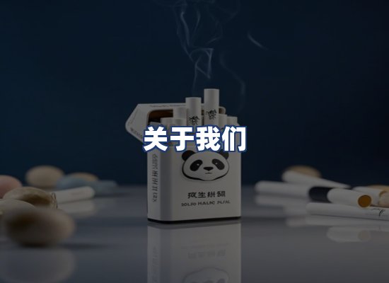 关于我们